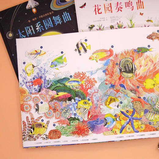 《一卷一视界:手绘自然长卷书》3本精装8开 商品图6