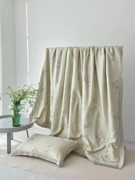 天丝夏被 婉叙天丝蚕丝抗菌夏被 商品图0