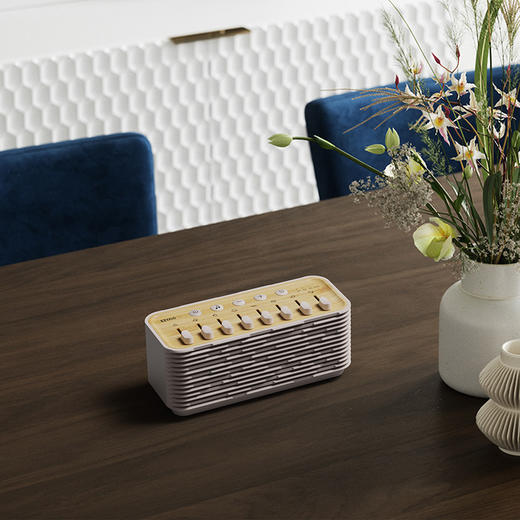 SM2L-B 情景音箱 商品图2