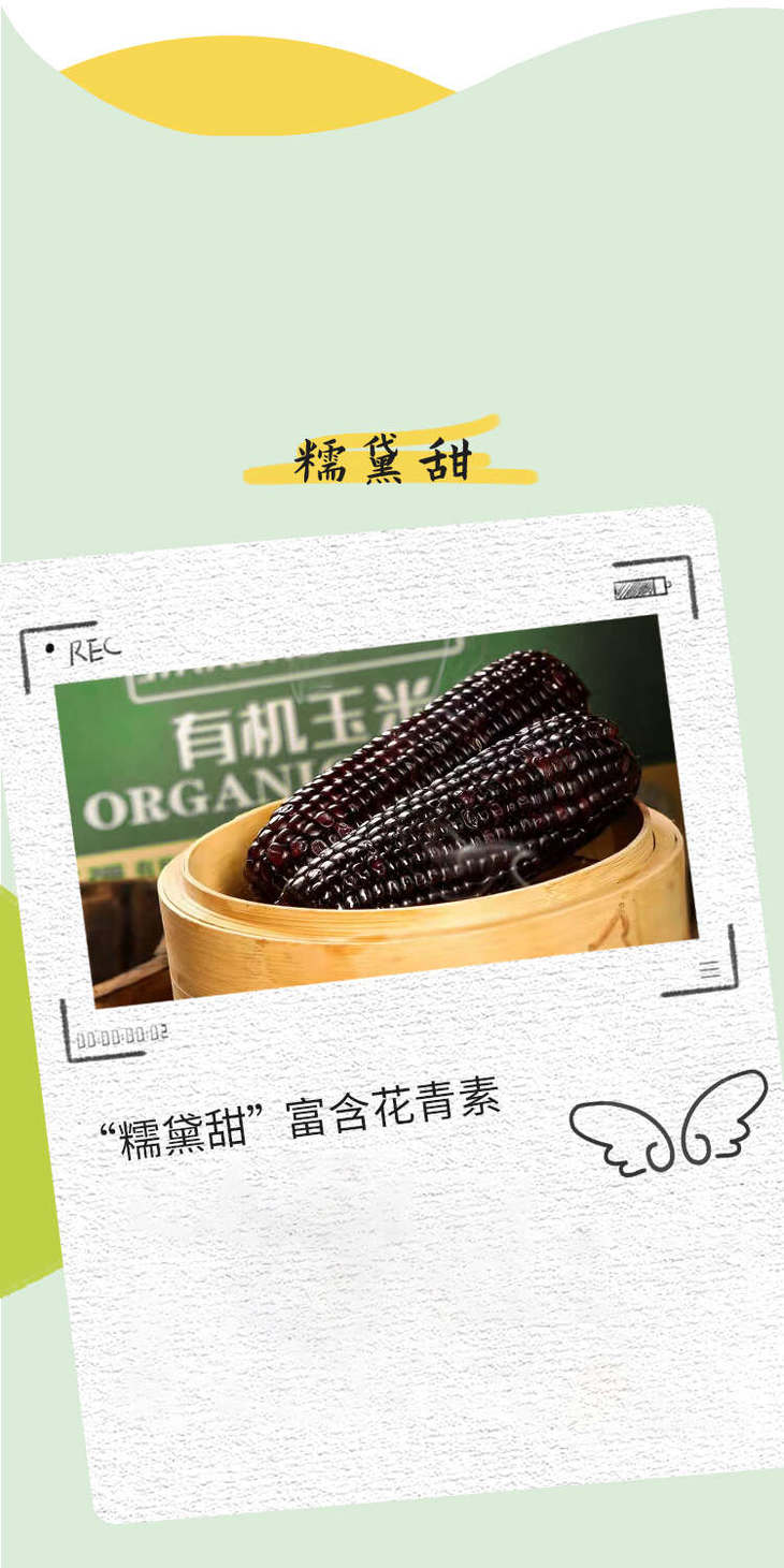 详情页 (5).jpg 详情页 (5).jpg