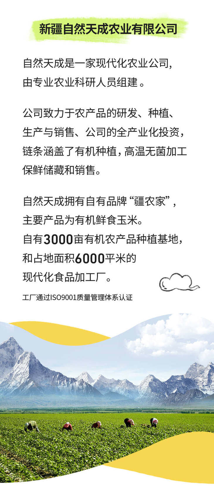 详情页 (2).jpg 详情页 (2).jpg