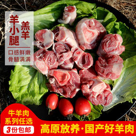 【3份包邮】羊小腿    高原放养羔羊肉  新鲜带骨羊小腿肉  500g
