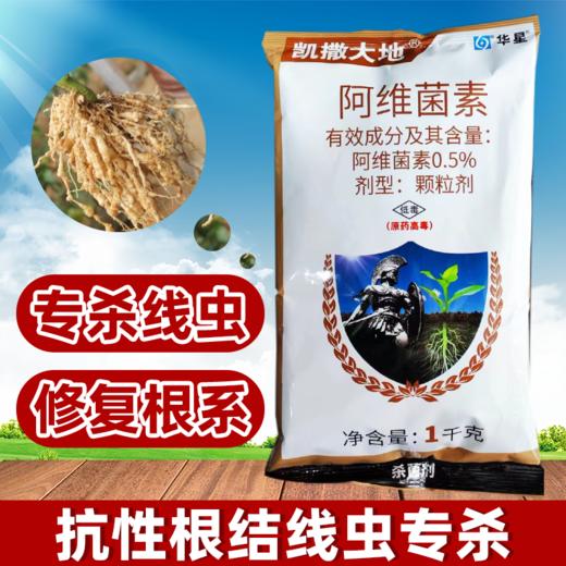 阿维菌素茵素黄瓜根结线虫杀线虫专用药农药杀虫剂大全撒施农用 商品图2