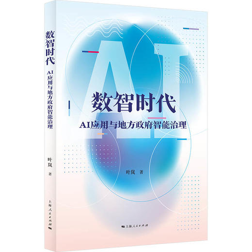 数智时代：AI应用与地方政府智能治理 商品图0