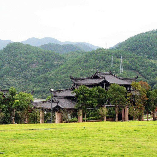 武夷山大红袍山庄 商品图2