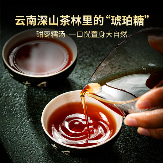 澜沧古茶2023年古韵生熟组合套装 商品图4
