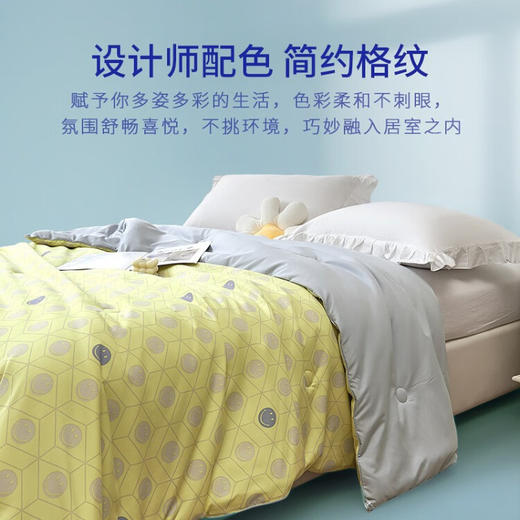 SMILEY微笑 史迈利温馨被 SMILEY-BX22-113 商品图1
