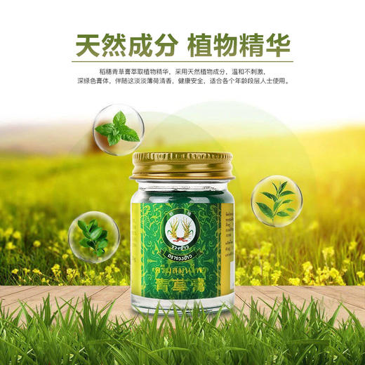 「居家旅行良品 」泰国原装进口 稻穗青草膏  防蚊虫叮咬  植物草本萃取  50g/瓶 商品图1