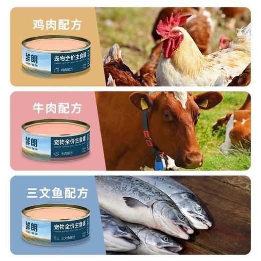 【零添补水】鲜朗猫罐头无谷全价主食罐通用猫咪湿粮100g/罐 商品图1