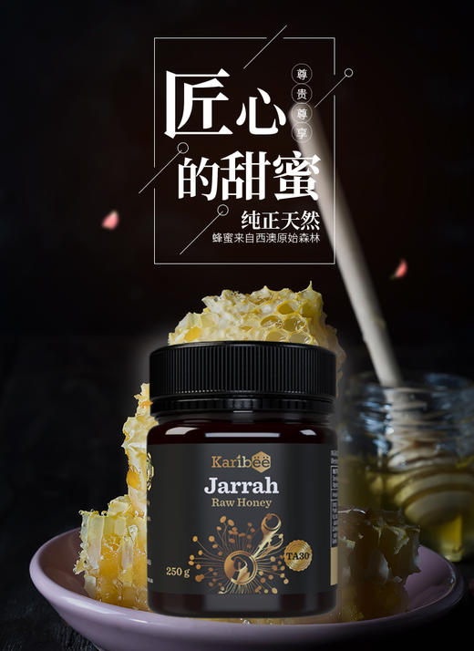 Karibee|可瑞比 红柳桉树蜂蜜 嘉拉蜜（养护肠胃） 商品图0