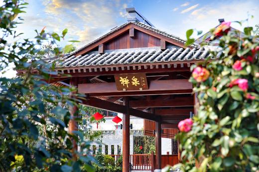 森林圆圈日｜《第三层花园》·（榜样订制版 · 云浮） 商品图2