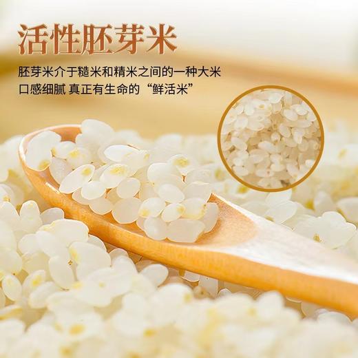 农家鲜米5kg 商品图2