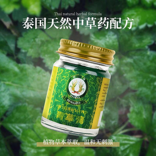 「居家旅行良品 」泰国原装进口 稻穗青草膏  防蚊虫叮咬  植物草本萃取  50g/瓶 商品图2