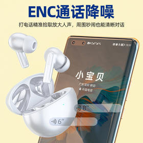 巴赫约翰主动降噪无线蓝牙耳机T5