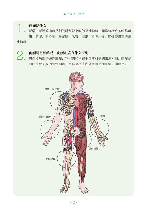 骨与软组织肿瘤 樊征夫主编 肿瘤科普百科丛书 软组织肉瘤手术注意事项诊断治疗 健康保健知识 人民卫生出版社9787117341066 商品图3