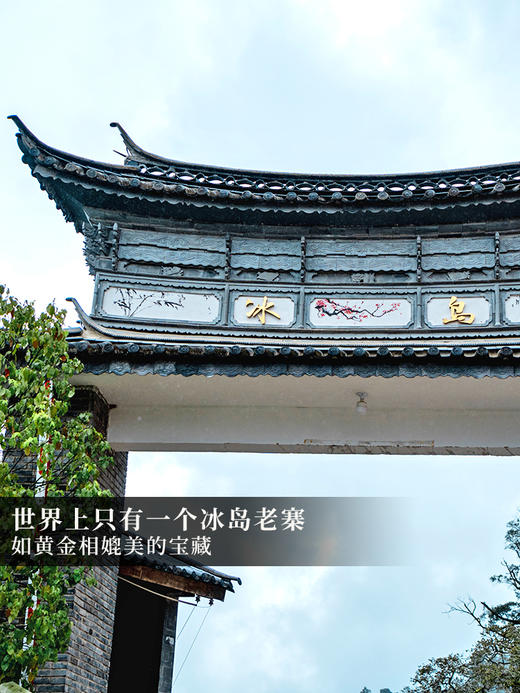 【鼎级奢侈品】【兔首—冰岛老寨龙珠】中国制茶大师全程亲制加监制代表了茶界蕞高端奢品，满足所有高端用茶场景需求限量100罐出售，600克/罐，每罐赠送旅行锡罐一个拍5发6拍20发25 商品图5