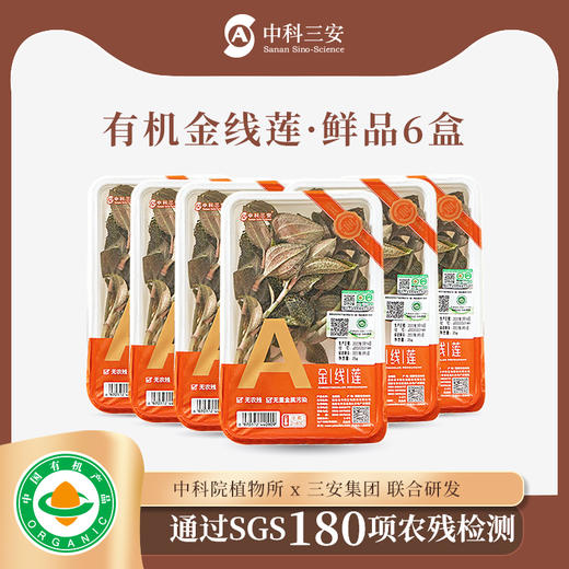 【积分可抵现】中科三安有机金线莲鲜品25g*6盒 商品图0