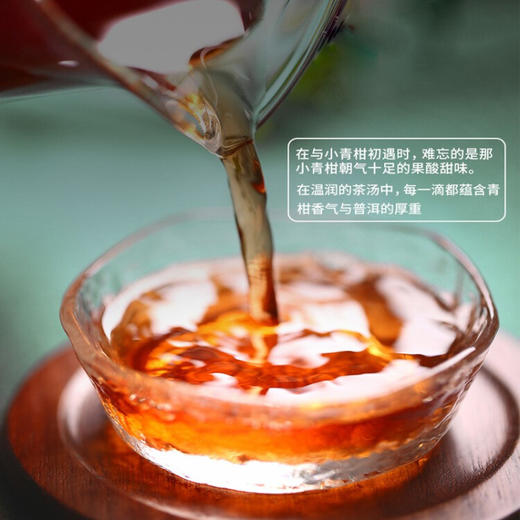 正道和丰 正道和丰ZDT-008小青柑18枚 商品图2