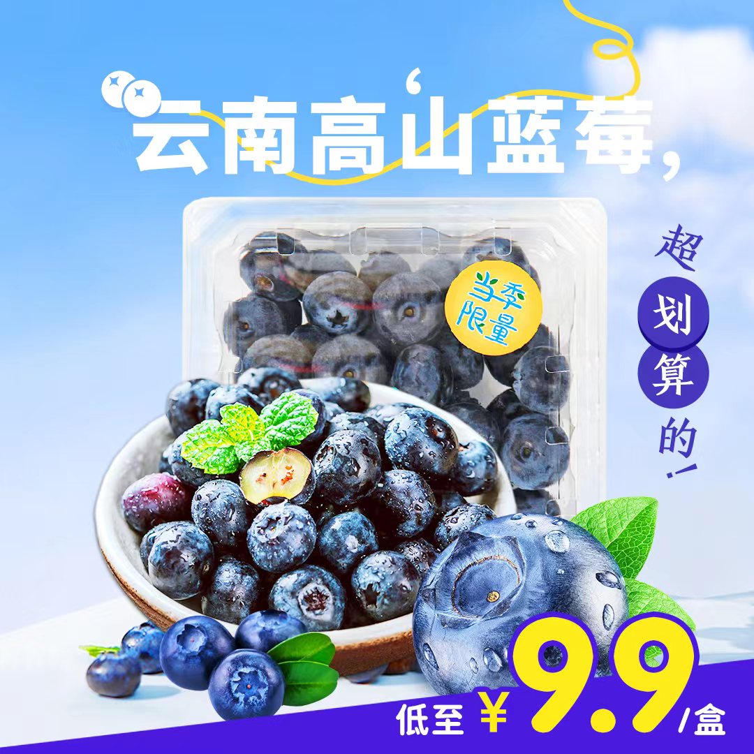 云南高山蓝莓 12mm+ 125g【单盒低至9.9元】5月8日提货