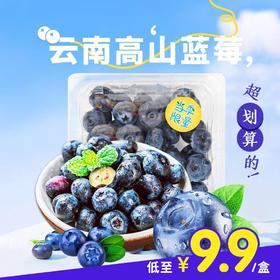 云南高山蓝莓 12mm+ 125g【单盒低至9.9元】5月8日提货