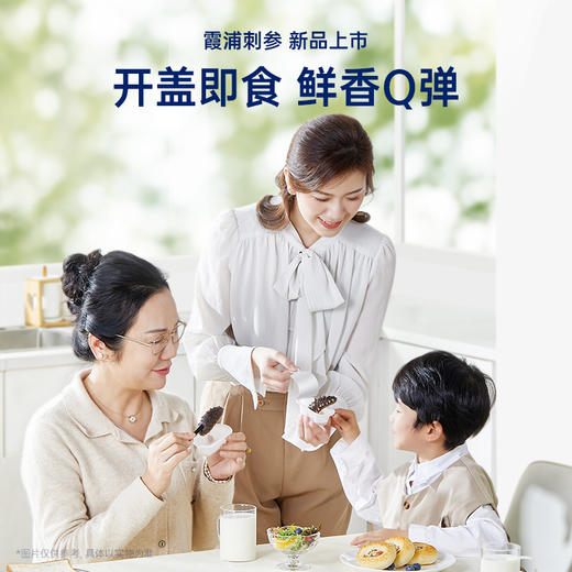 【限时特惠】-月套餐 官栈鲜炖海参·6Q霞浦刺参滋补海参 商品图4