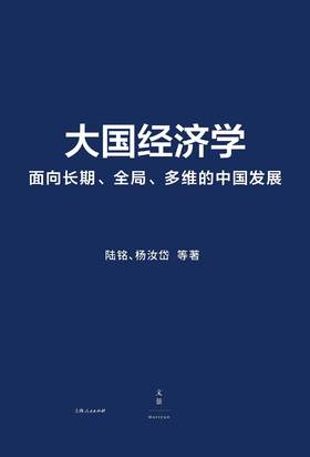 大国经济学： 面向长期、全局、多维的中国发展