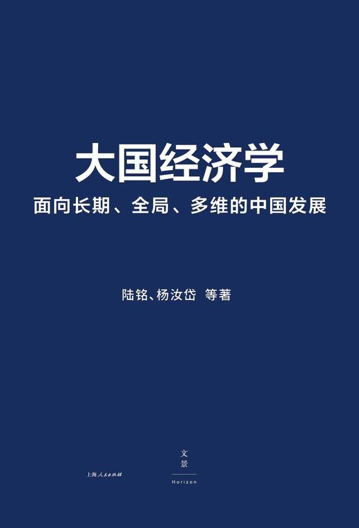 大国经济学： 面向长期、全局、多维的中国发展 商品图0