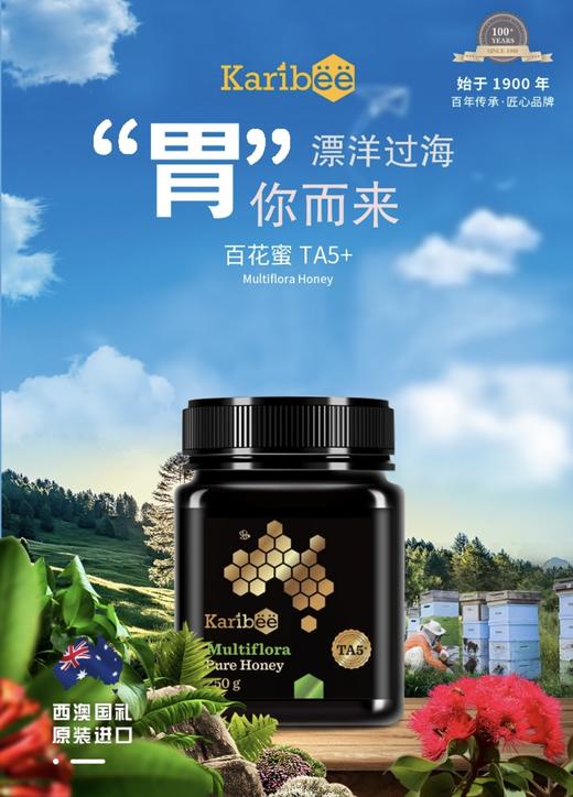 Karibee|可瑞比 5+天然百花蜂蜜（日常养护） 商品图4