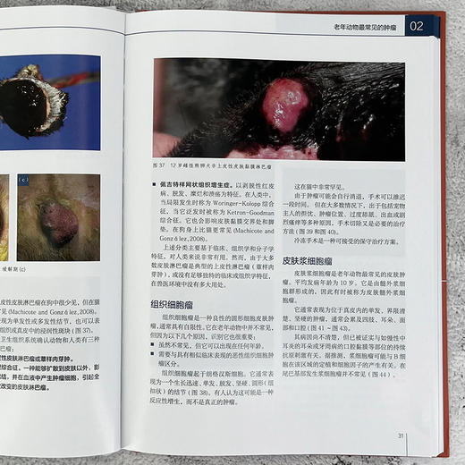 老年动物肿瘤学及临床病例 商品图4