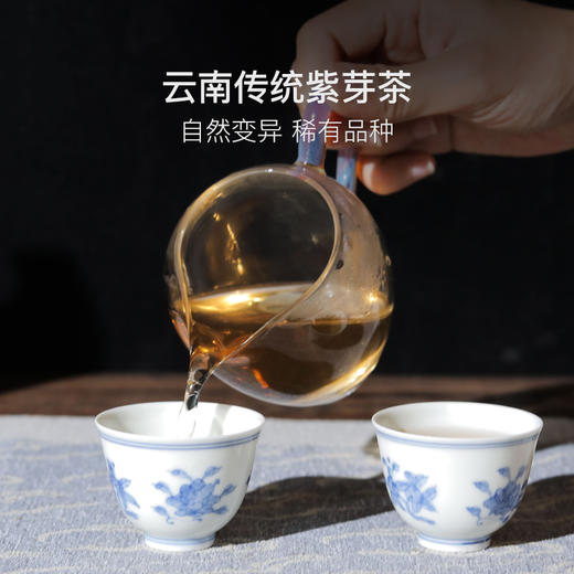 5年陈化，2018年那卡紫芽普洱生茶357g/饼 商品图1