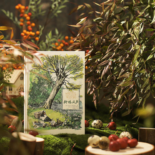 柳林风声（彩色插图版） 商品图2