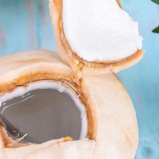 泰国椰青2个/份 商品图2