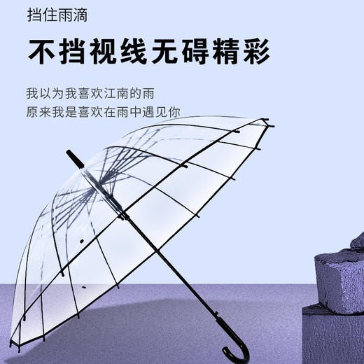 「高颜值！加固16骨」16骨透明伞 抗风自动纯色小清新网红伞透明直杆雨伞居家日用 商品图1