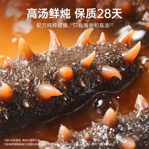 【限时特惠】-月套餐 官栈鲜炖海参·6Q霞浦刺参滋补海参 商品图2