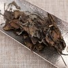 四大茗乐罐装系列【君且慢】2017年高山贡眉 商品缩略图3