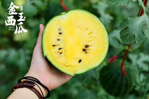 【高糖春玉西瓜 /金玉西瓜48小时发货 礼盒装】可徒手剥皮，精致个头，果肉红艳，水分足，甘甜如冰糖，吊瓜种植 商品图5