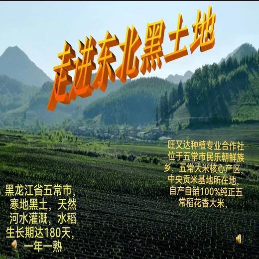 农家鲜米5kg 商品图5