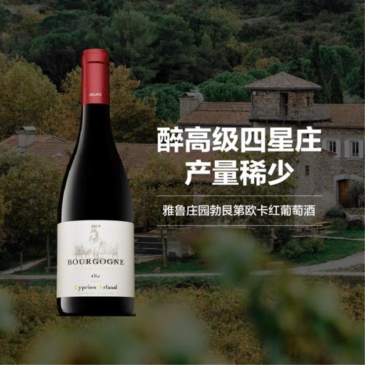 雅鲁庄园勃艮第欧卡红葡萄酒 2019 Domaine Cyprien Arlaud Bourgogne Oka 商品图0