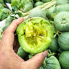 【绿宝甜瓜】山东绿宝甜瓜 绿宝花美人甜瓜 3斤/5斤装 商品缩略图4