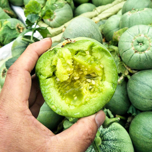 【绿宝甜瓜】山东绿宝甜瓜 绿宝花美人甜瓜 3斤/5斤装 商品图4