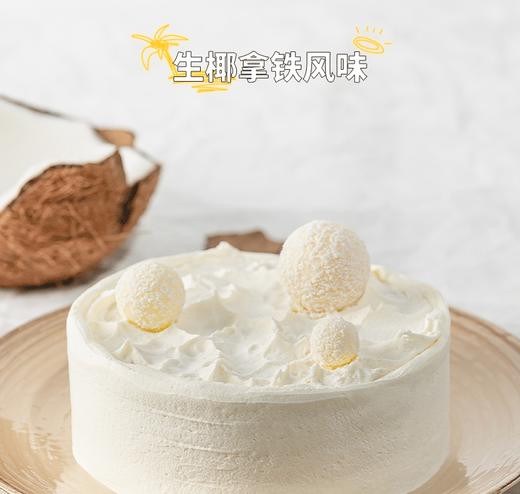 （抖音验券专用）生椰拿铁冰淇淋蛋糕（冷冻保存）-请对应款式下单，验券不成功不发货，备注抖音电子券码，下单支付0.01元即可 商品图1