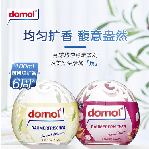 【中欧班列精选2盒】德国domol空气清新剂 原装进口花香果香持久芳香剂去异味室内香氛摆件 100ml/瓶 BL 商品图2