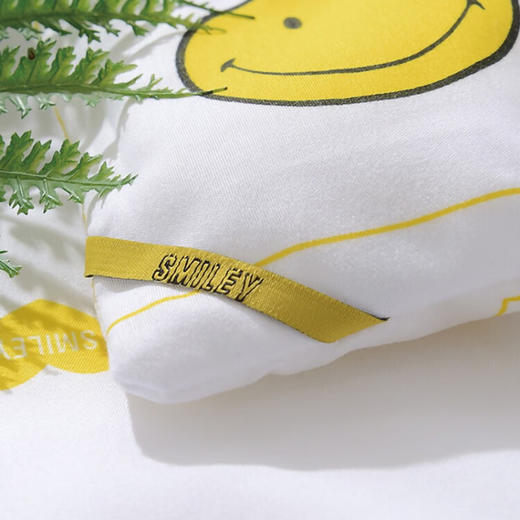SMILEY微笑  儿童针织棉抗菌防螨驱蚊被芯 SMILEY-BX-022 商品图3