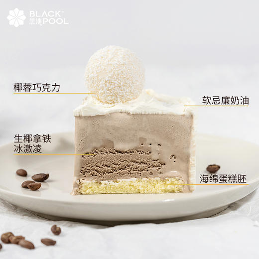 （抖音验券专用）生椰拿铁冰淇淋蛋糕（冷冻保存）-请对应款式下单，验券不成功不发货，备注抖音电子券码，下单支付0.01元即可 商品图3