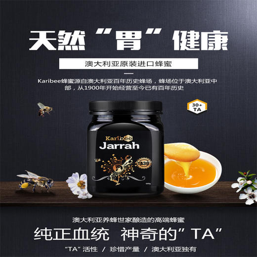 Karibee|可瑞比 红柳桉树蜂蜜 嘉拉蜜（养护肠胃） 商品图1