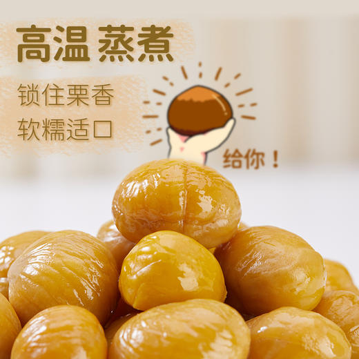 【嘉华严选】高原板栗仁  果干零食  100g（2袋起购） 商品图3
