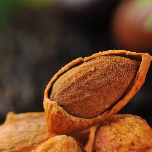 正道和丰  坚果ZDJ-061(罐装八件套) 商品图3