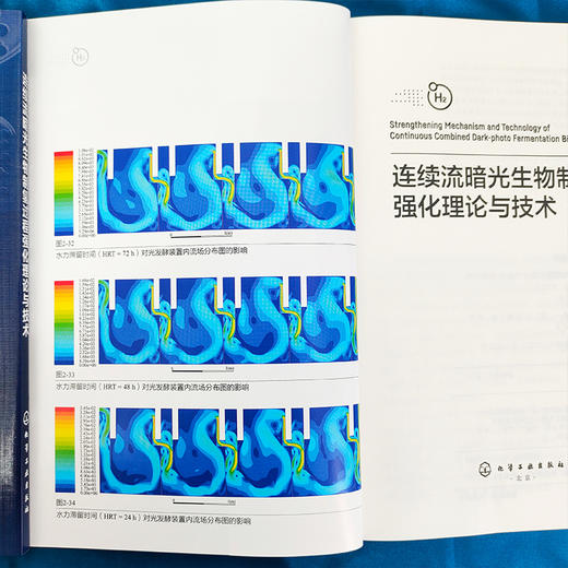 连续流暗光生物制氢过程强化理论与技术 商品图3