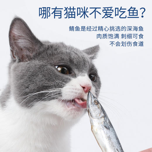 麦斯蒂猫咪鱼零食蒸煮鲭鱼营养丰富袋装50g/包 商品图2