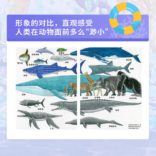 手绘海洋动物（修订版） 海洋百科全书 彩图绘本 海洋生物科普读物 海底世界科普百科全书 你不可不知的海洋之谜 商品图4